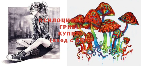 ГАЛЛЮЦИНОГЕННЫЕ ГРИБЫ Тихорецк