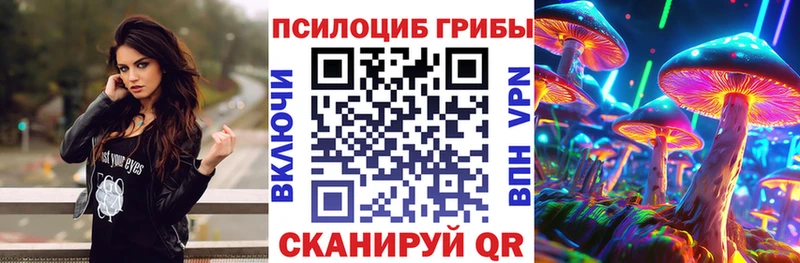 Купить  Нижнекамск  Псилоцибиновые грибы GOLDEN TEACHER 