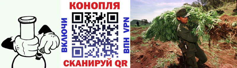 Купить где  Нижнекамск  Каннабис гибрид 